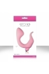  ORCHID   G-  , 